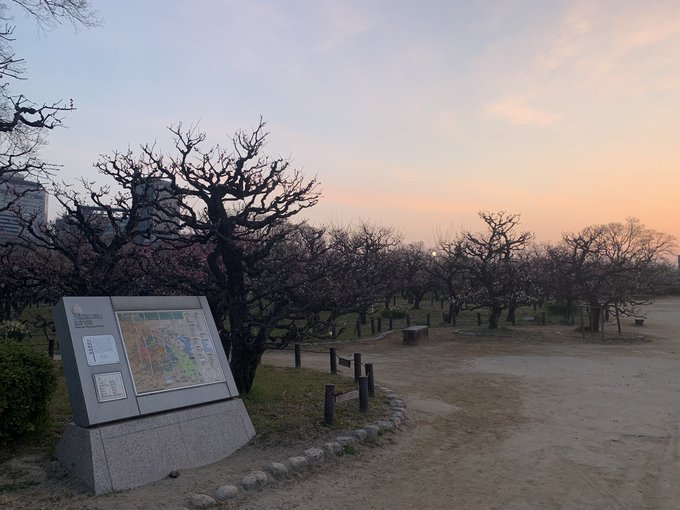 梅園に開花を見に来ましたっ

春が間近まで来てますねぇ〜☀️ 