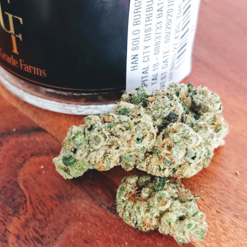 BudCars420's tweet photo. High Grade Farms $0.01 One Cent *promo* 
HGF Han Solo Burger 1g 
Hybrid THC: 38.82% GMO Cookies x Larry F8. Bred by Skunk House Genetics. A Sweet floral mix of deliciousness. An outstanding hybrid. Very potent, lime green buds. The effects are strong #BudCars #cannabis #weeddeals https://t.co/5v2eX7n1gW
