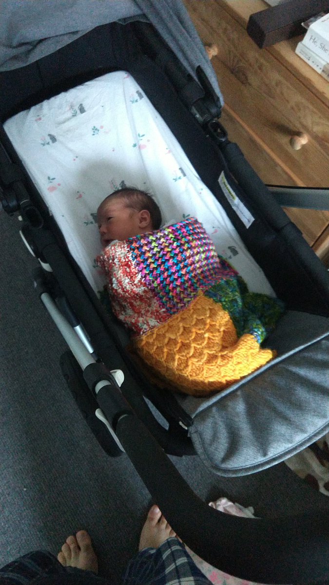 Please retweet 🙏: Looking for a mixed computational/experimental PhD student in single cell biomedicine on neonatal lung disease and bluebottle jellyfish 🔬⌨️ - lab website fabilab.org - email me CV, motivation letter, and a coding sample. Oh and Nella is here 😍🎆
