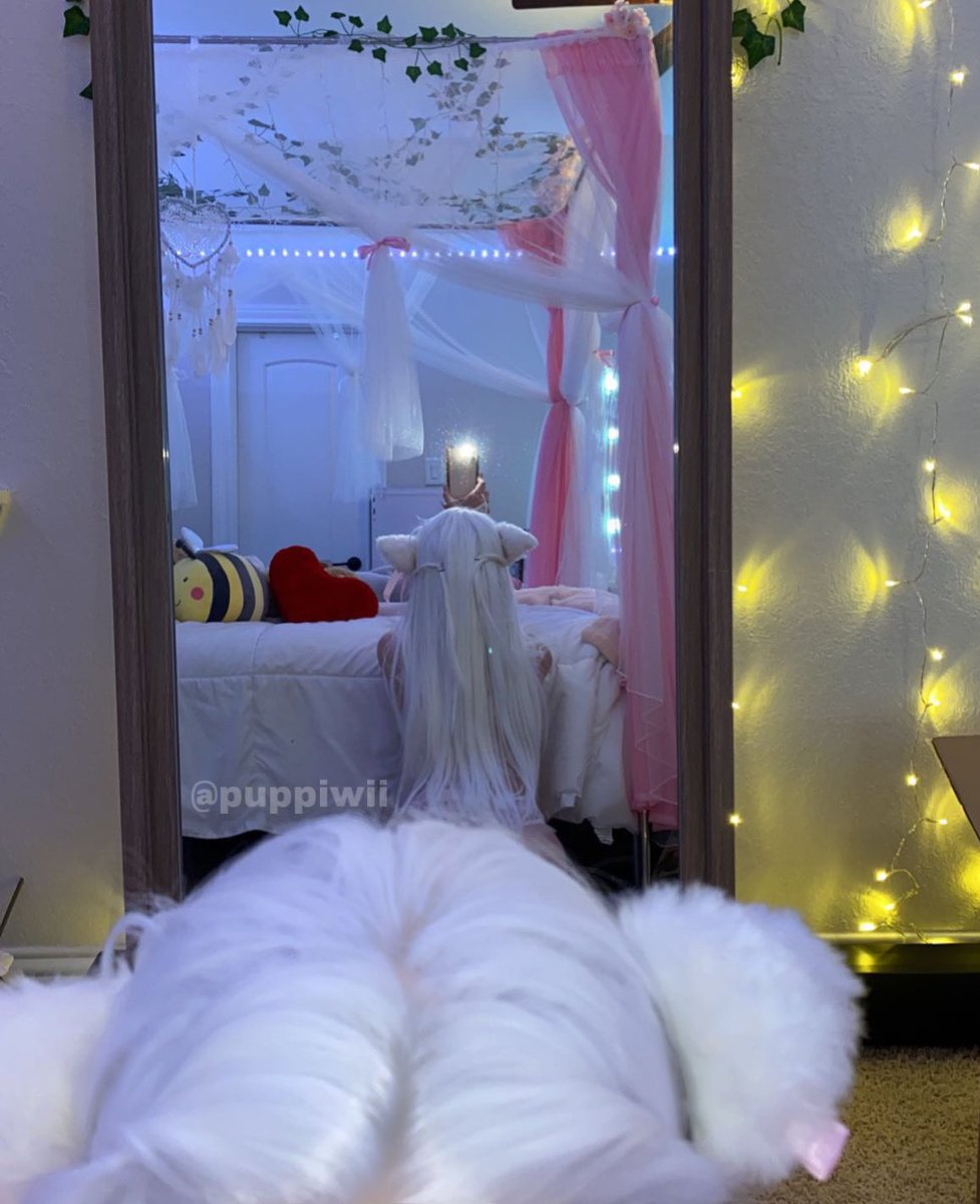 winnie on Twitter: “i can meow