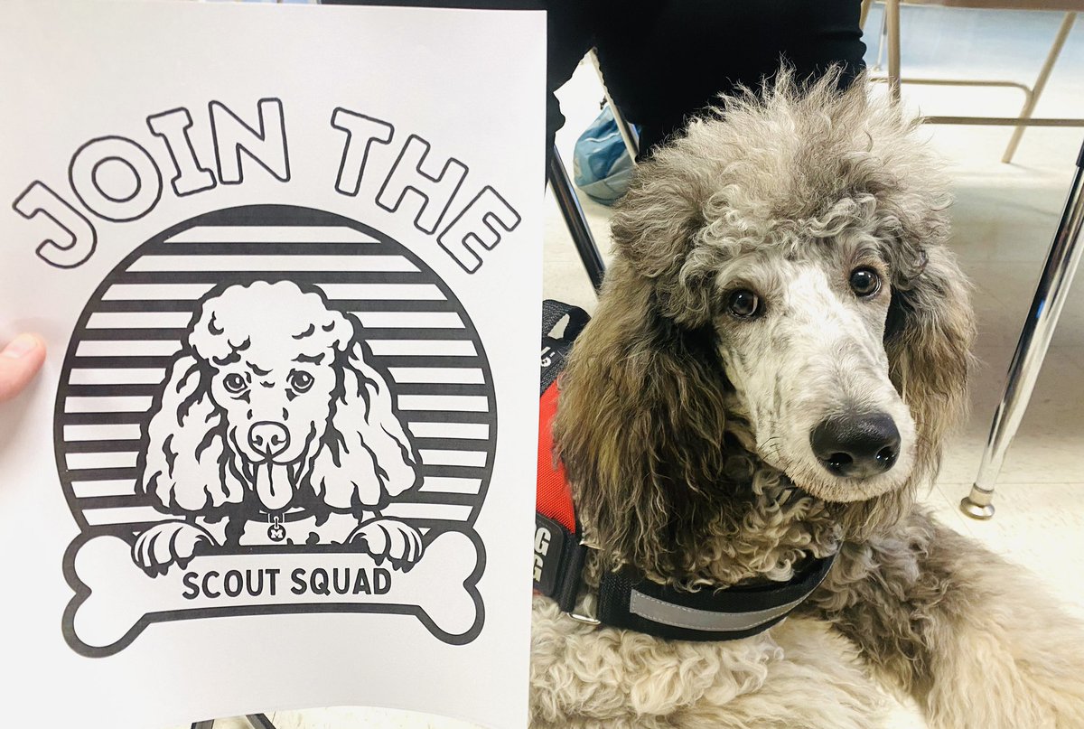 Scout says thank you to the staff <a href="/MunfordElem/">Munford Elementary</a> for making him a color sheet of himself!! He is excited to see who can can color it the best!#dogsoftwitter #therapydogs