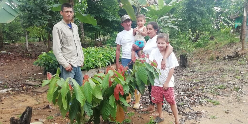 NTierraProspera's tweet photo. Las manos de Fidelina Acevedo productora de @asoprocanor cuidan el cacao que ha mantenido a su familia en una economía lícita que les genera bienestar y progreso. Ella como lideresa motiva a jóvenes y mujeres en El Catatumbo a cosechar el mejor cacao del mundo #LasMujeresSumamos https://t.co/qy4hBtEbAN