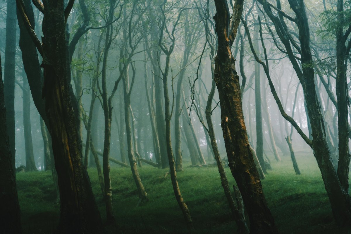 DanielCasson1's tweet photo. Moody Derwent 🌲 // https://t.co/mkgTf3jswk