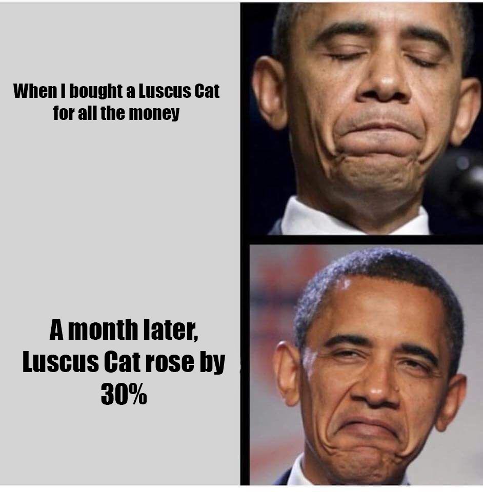 luscuscat's tweet photo. Raising money🤑🤑🤑

#raisingmoney #Crypto #cryptocurrency #CryptoNews 
#CryptoWorld #LUSC #cryptotwitter #cryptocommunity https://t.co/Y3cLQDN4iE