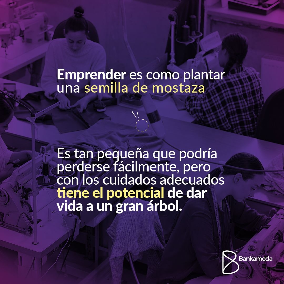 bankamoda's tweet photo. Nunca subestimes el potencial de tu negocio, tu talento y creatividad.
Lo que hoy es un emprendimiento, mañana puede ser un gran negocio.
En Bankamoda estamos para ti, contáctanos en: https://t.co/yAdyV0npNo
#bankamoda https://t.co/hGHRbRSvYC