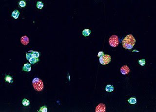 Paul Fryer tweet media