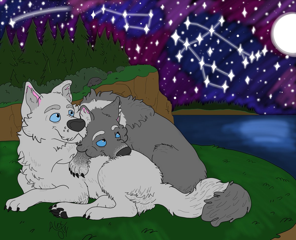 AlexTWDgf01's tweet photo. Wolfwalker Stan twins 

Man, it has been a while since I've posted anything on Twitter. This seemed like a good starter.
#gravityfalls #stantwins #digitalart #Gemini #bigdipper #shootingstar #nightsky #flatcolor https://t.co/h1Xi0JIVAA