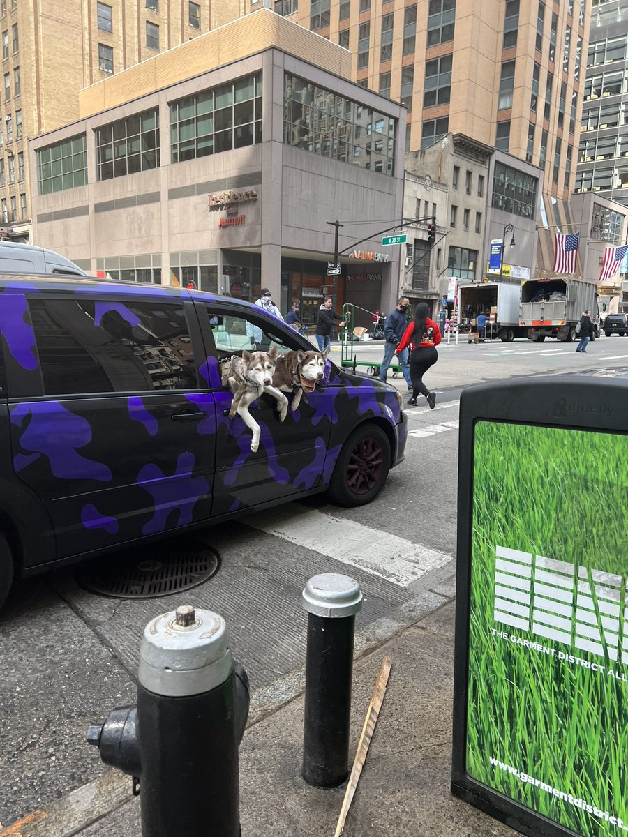 Views walking down 6th ave 👀

#dogsoftwitter #dogsofnyc