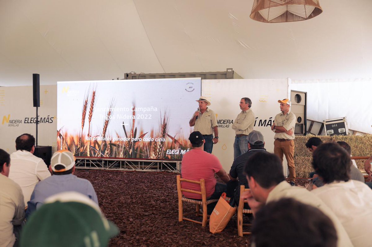 NideraSemillas's tweet photo. 🌾Lanzamiento de la campaña de Trigo 2022 🌾en #Expoagro #ElegíMás➕ https://t.co/1Lgb6A3c2P
