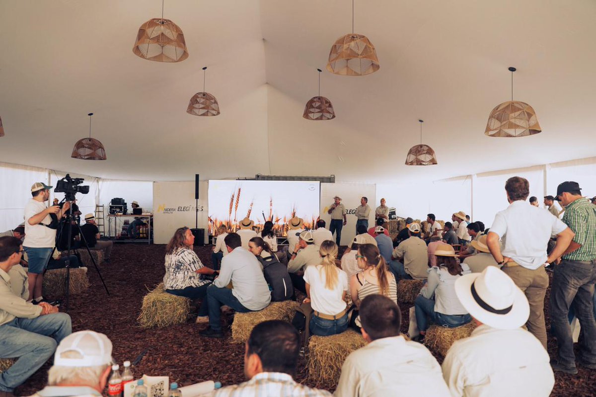 NideraSemillas's tweet photo. 🌾Lanzamiento de la campaña de Trigo 2022 🌾en #Expoagro #ElegíMás➕ https://t.co/1Lgb6A3c2P
