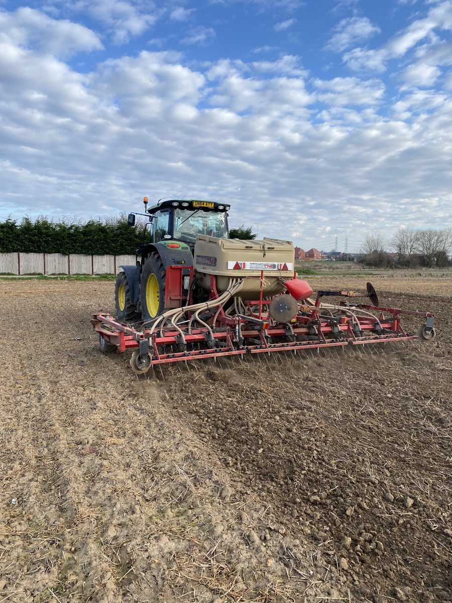 Nitrogen fixing beans planted in perfect conditions