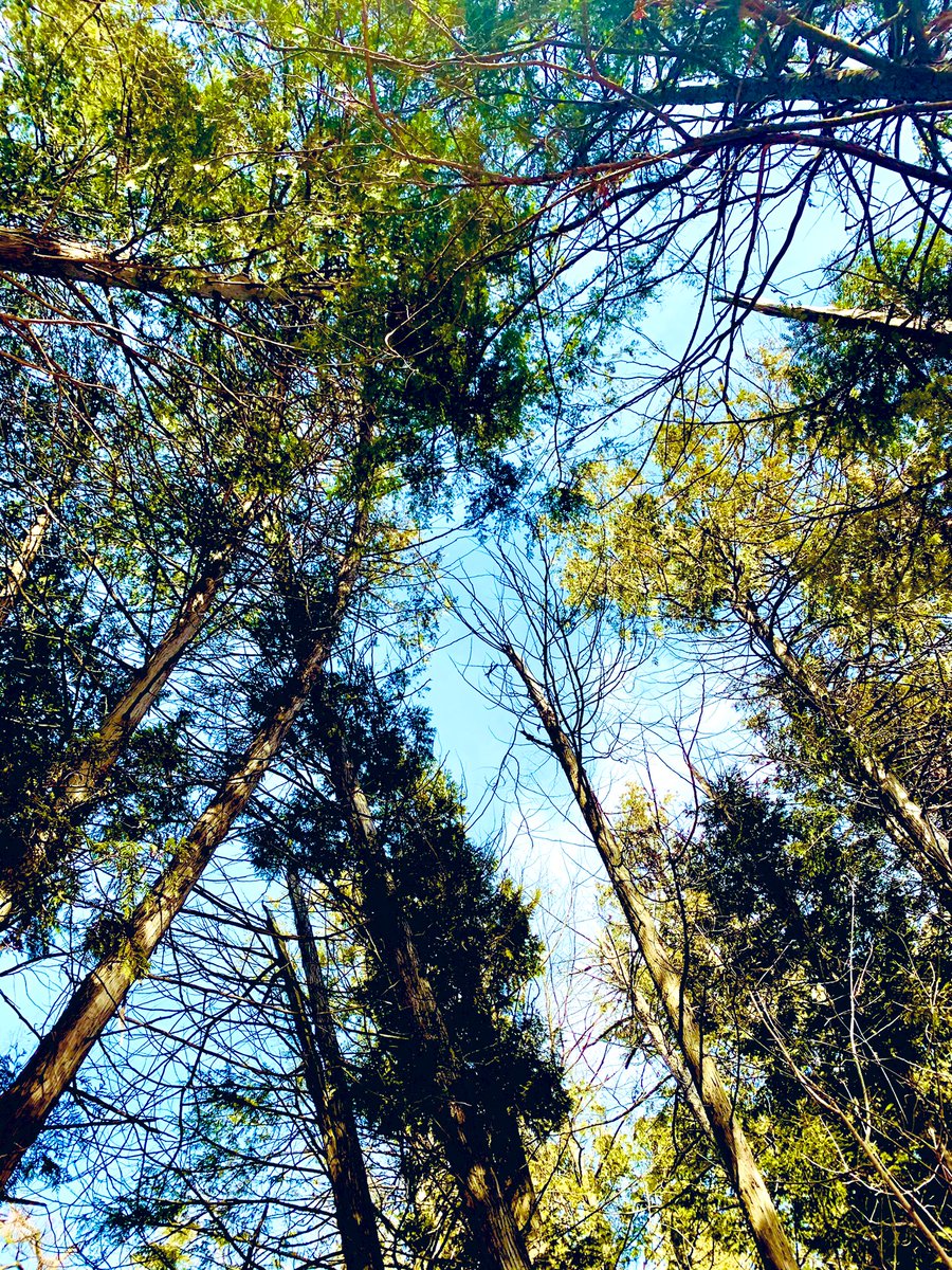 Walk today💙💚☀️