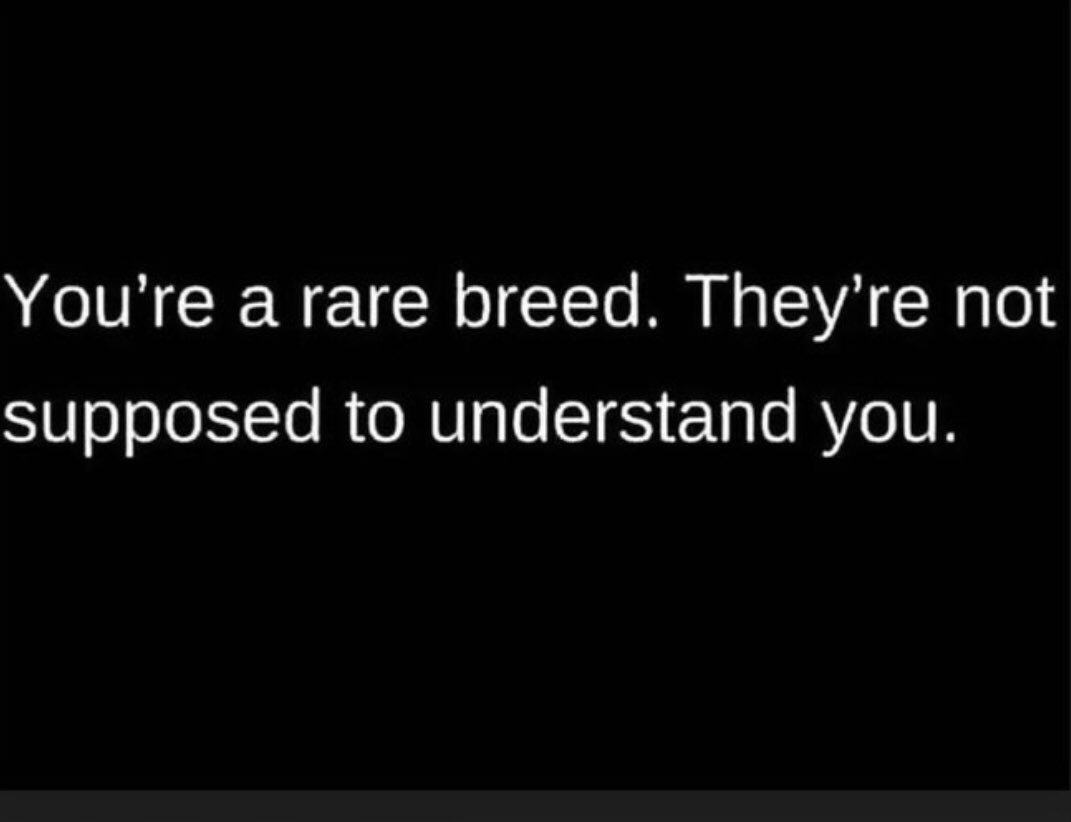 LoeLatham's tweet photo. PERIOD! 💯 #1of1 #Iamloe #loelatham #imnext https://t.co/P3xyqk3a8x