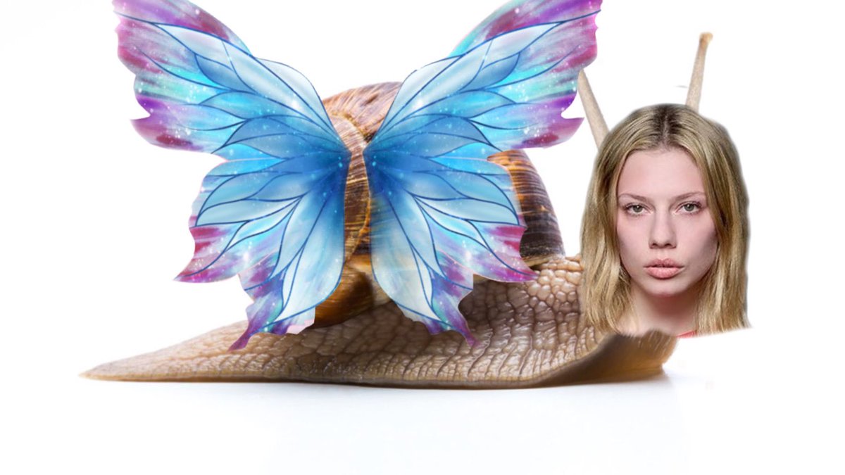 Julia_1602's tweet photo. ✨WiE eIne ScHneCkE rAuSflIegEn✨ #gntm https://t.co/zR2upYEUKL