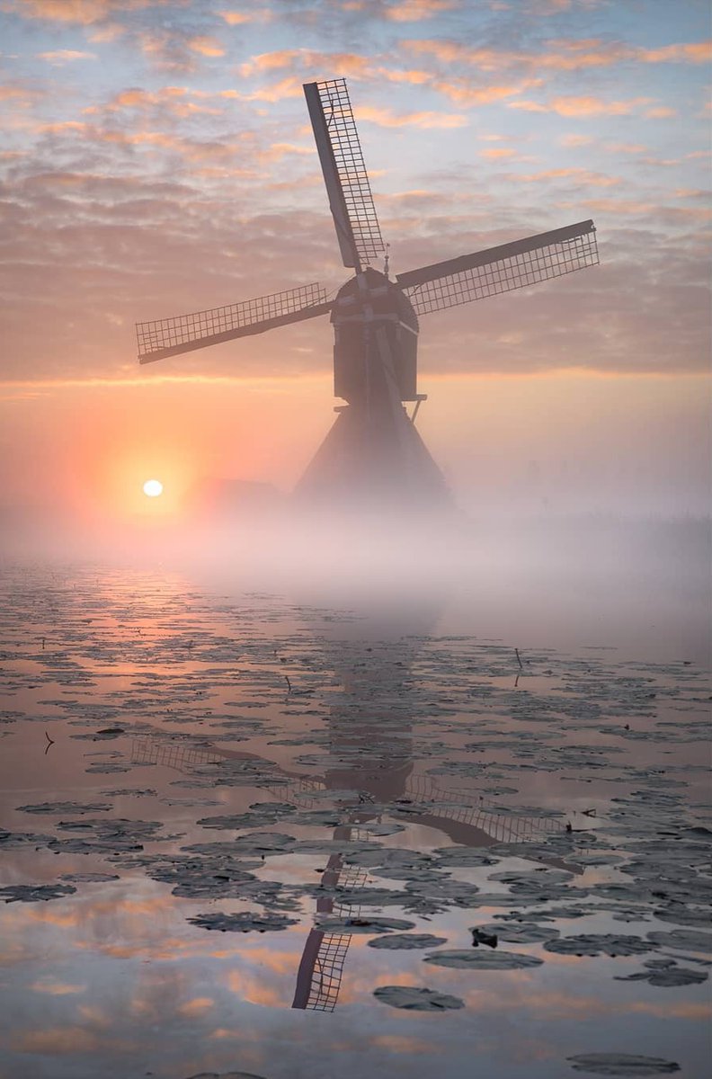 Fijne #TerugVolgVrijdag. Wie ons volgt, volgen wij terug. Net als alle andere dagen van de week. Liefs, #TeamPositief

📸 Gijs de Reijke #Goedemorgen