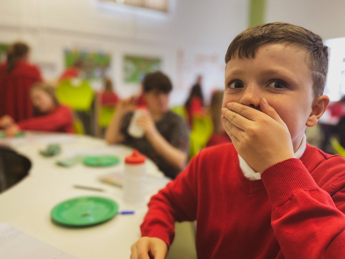 AbbeyPrim's tweet photo. It’s safe to say that Dosbarth 5/6 put their taste buds to the test when enjoying a food tasting session with our professional food critic Lowri! There were definitely some tastes that went down well…and maybe others that didn’t 😂#foodgloriousfoodproject #leadcreativeschool 1/2 https://t.co/umGHcNZkGi
