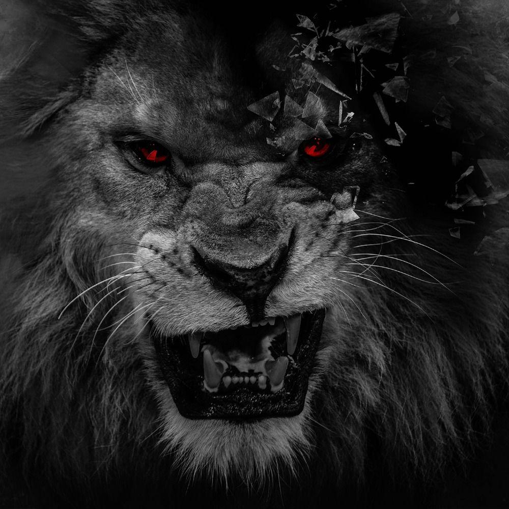ParcaliYorum's tweet photo. GALATASARAY AVRUPA'DA NAĞMALUP!

#BARCAvGS https://t.co/g0YhsOq7Hx