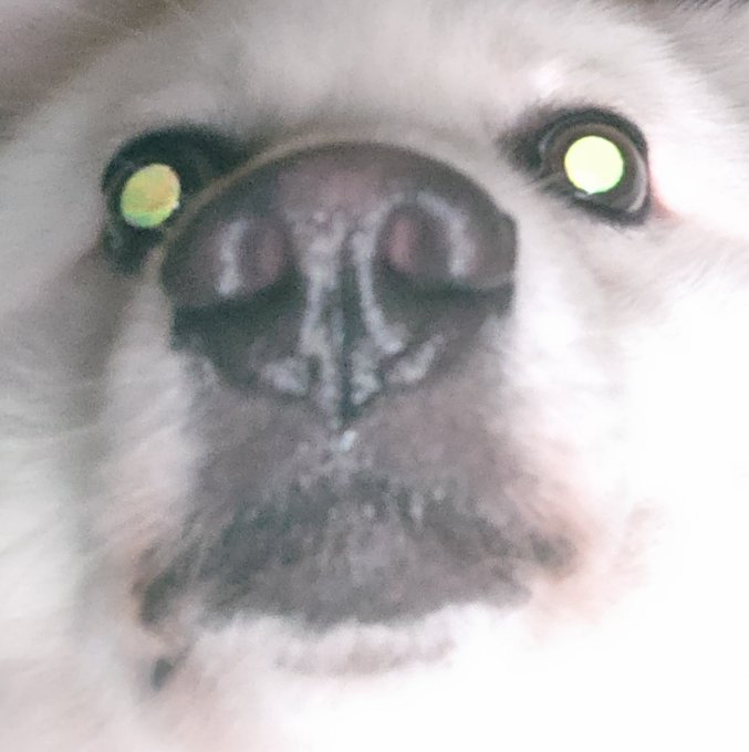 skullzz ツ (@skullzz51) | Twitter