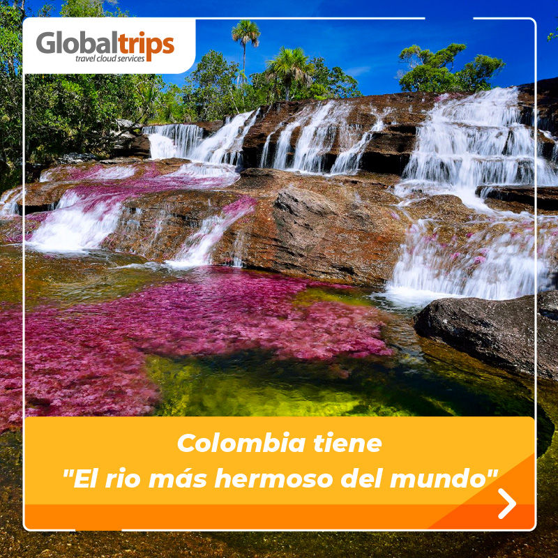 globaltripsco's tweet photo. En los #LlanosOrientales de #Colombia se resguarda un pequeño encanto, #CañoCristales, 𝐮𝐧𝐨 𝐝𝐞 𝐥𝐨𝐬 𝐫𝐢́𝐨𝐬 𝐦𝐚́𝐬 𝐡𝐞𝐫𝐦𝐨𝐬𝐨𝐬 𝐝𝐞𝐥 𝐦𝐮𝐧𝐝𝐨.💧

Lee la nota completa aquí: https://t.co/45S7EWHdsg https://t.co/hZnfD9x15E