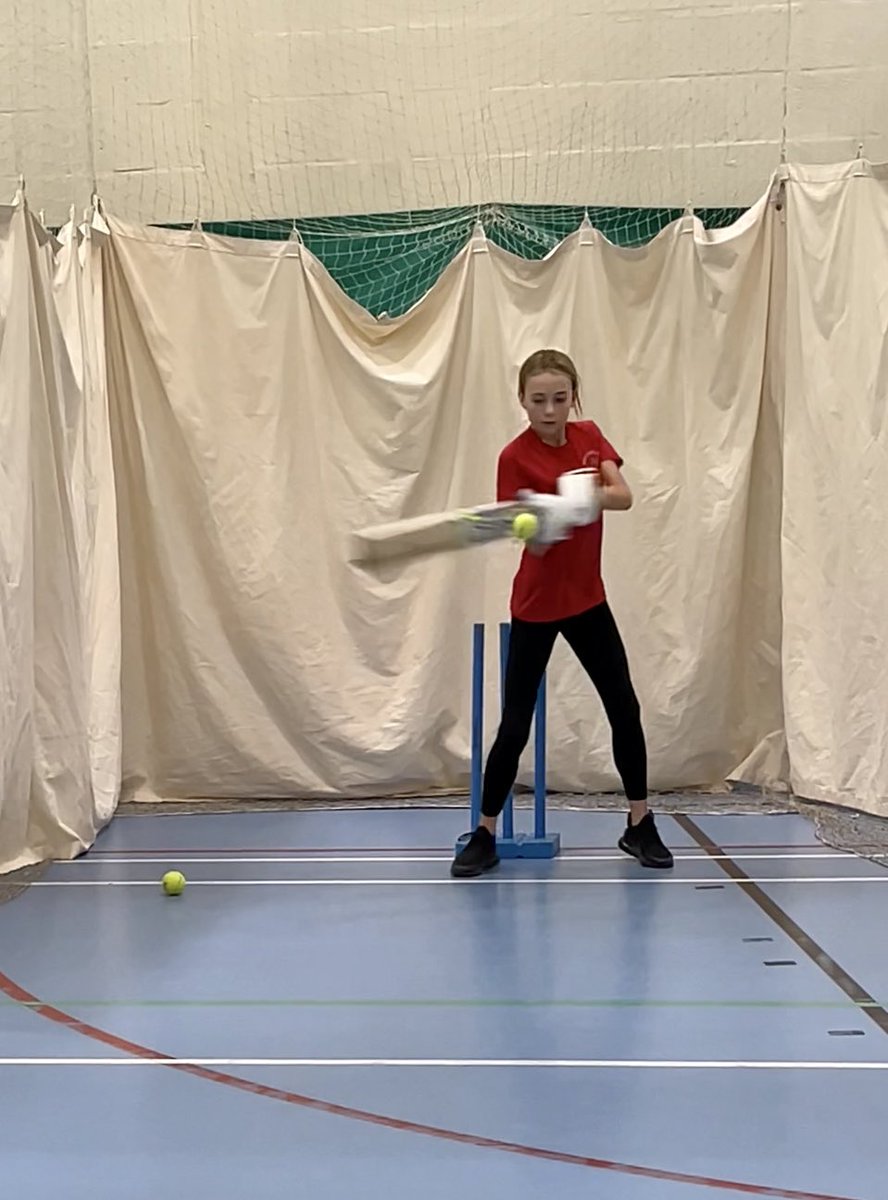 Ribble Valley Vipers tweet media