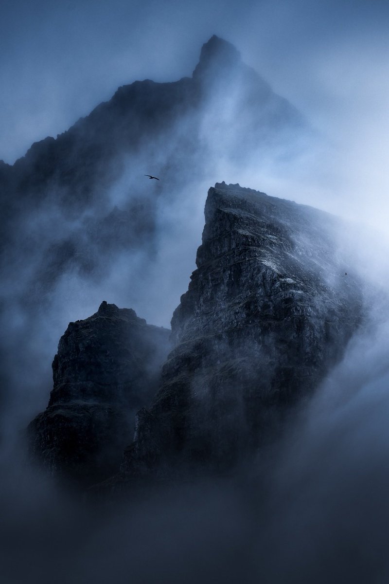 William Patino tweet media