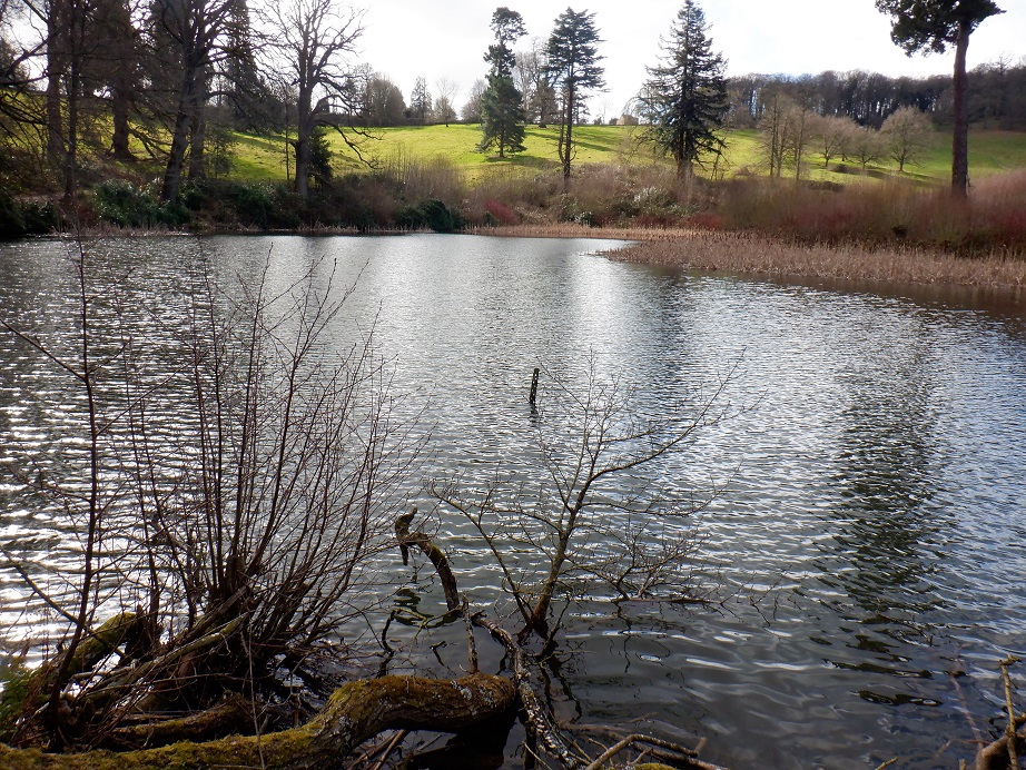 Duncan_Smart1's tweet photo. Thurs 10th March 8 mile circuit with @lrcwalks from Bromyard Downs into @NT_Brockhampton past Warren Farm to Lawn Pool, across to Bringsty Common, Foxhalls, past the "Live &amp; Let Live", Nuttage Farm, Clater Park and back along Bromyard Downs YTD 235.9 miles of #walk1000miles https://t.co/2Z22Tn2XOz