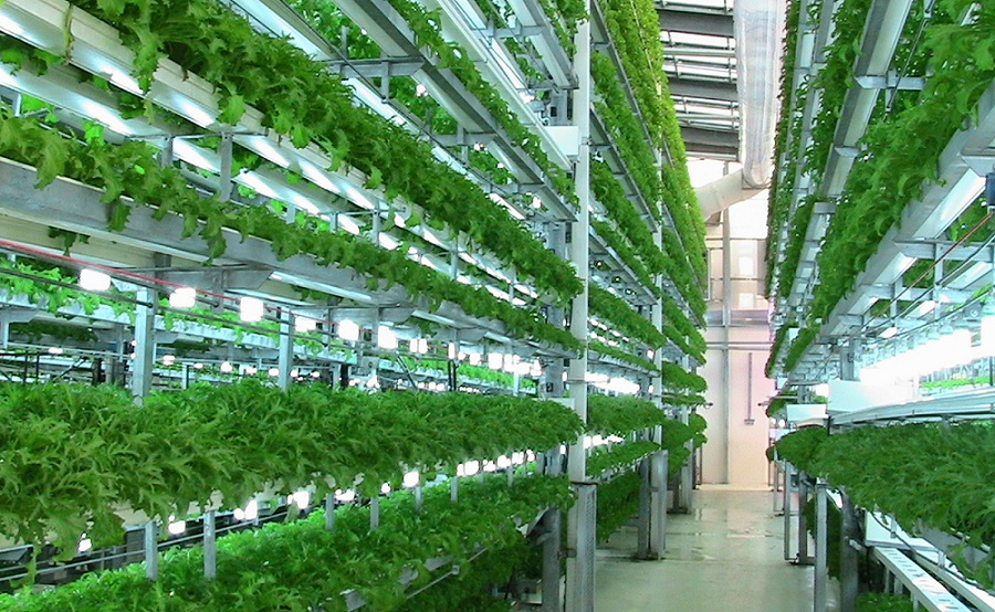 ModernAgUpdates's tweet photo. The next billionaires in the world will be farmers. https://t.co/EjvzfksFhD