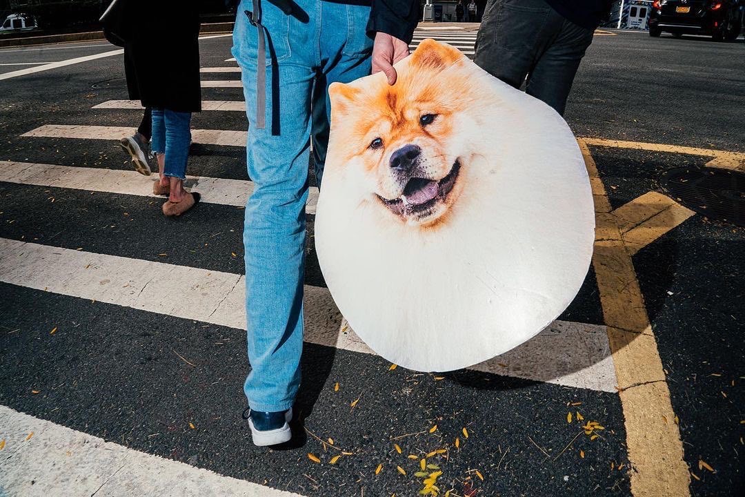 📸 Photo by NYC-SPC member <a href="/poupayphoto/">Poupay</a>

#streetphotography #photography