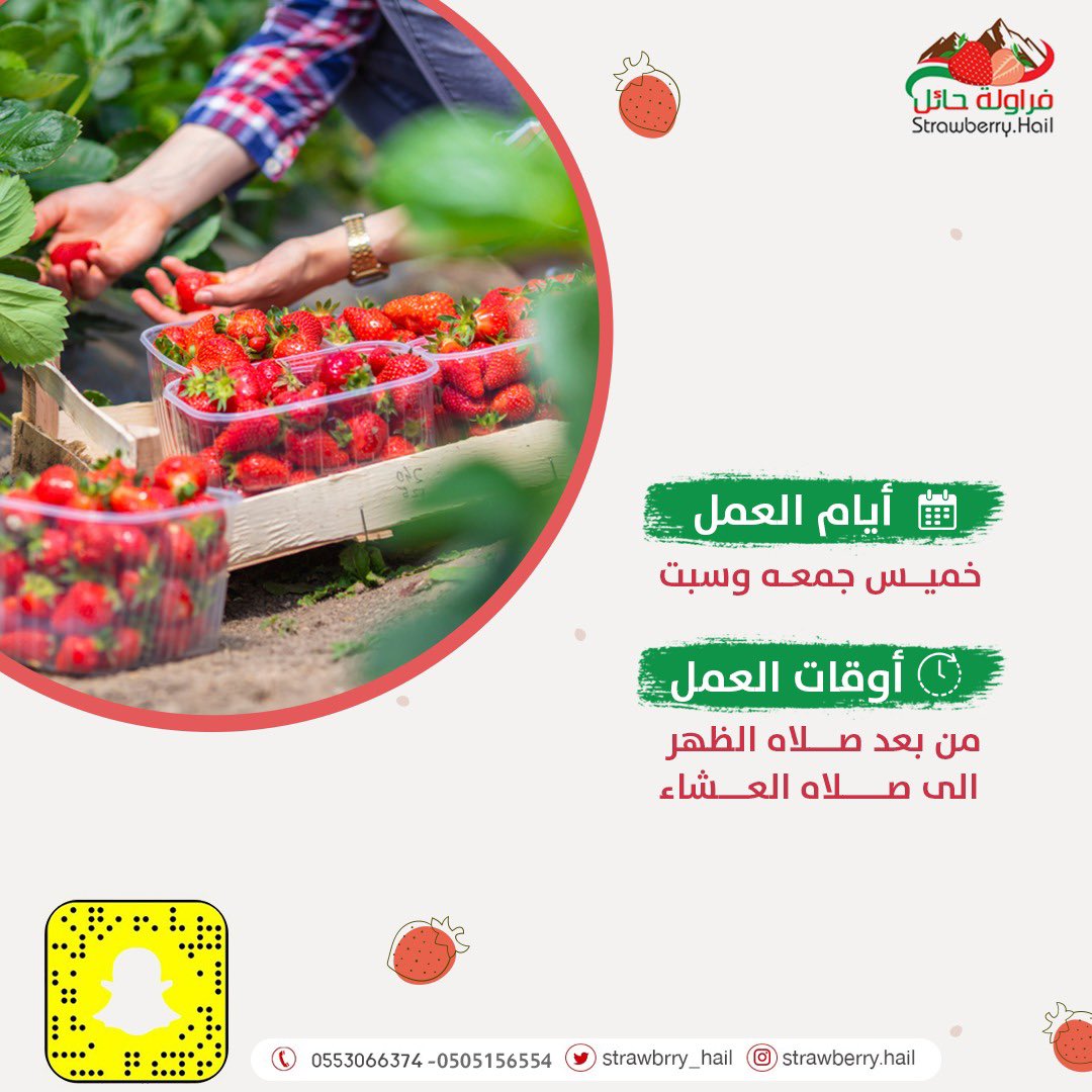 رجعنا لكم ..
بعد خلل تقني في الحساب الخاص بالتويتر 

*بمناسبه عودة حسابنا بالتويتر
 أول خمس اشخاص يسوون رتويت لهم تذكرتين قطف مجاناً 

#فراولة_حائل 
#حديقة_فراولة_حائل