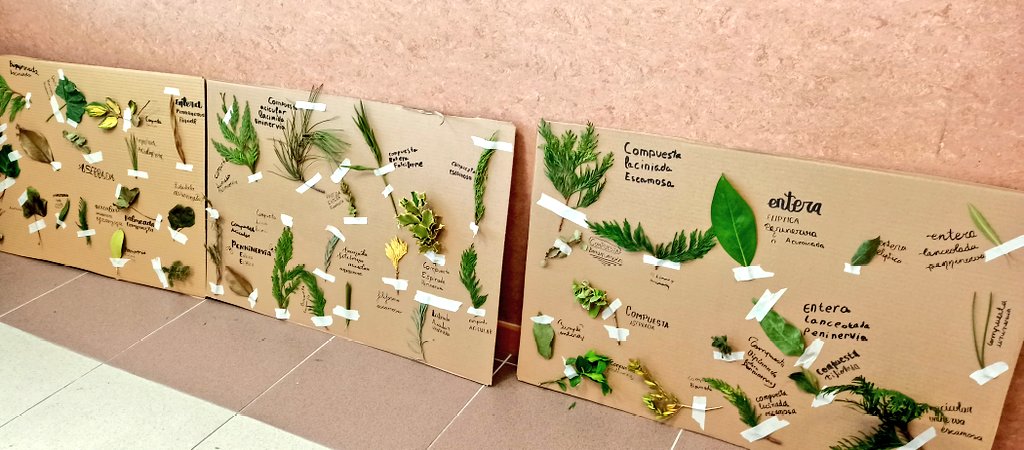 Beicamg's tweet photo. Se termina el Sexto #taller del Aula de #capacidades, preciosos cuadernos de campo, #microscopios, #observar #manipular #examinar #botanica https://t.co/OibPJ9pkHH
