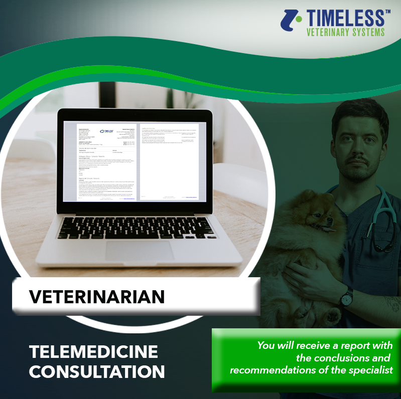 Timeless Veterinary tweet media