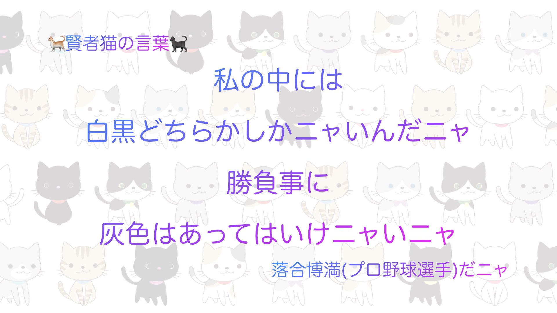 猫 賢者猫の言葉 名言 Philosophers Ca Twitter