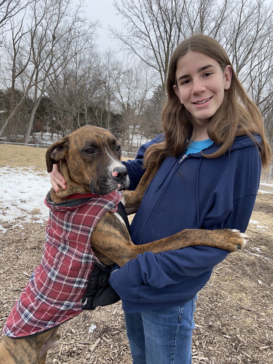 I pet Roni. He is a Boxer mix who is 1/4 Irish Wolfhound. He is a sweet