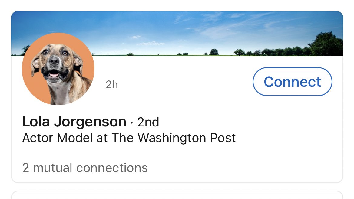 Dave Jorgenson tweet media