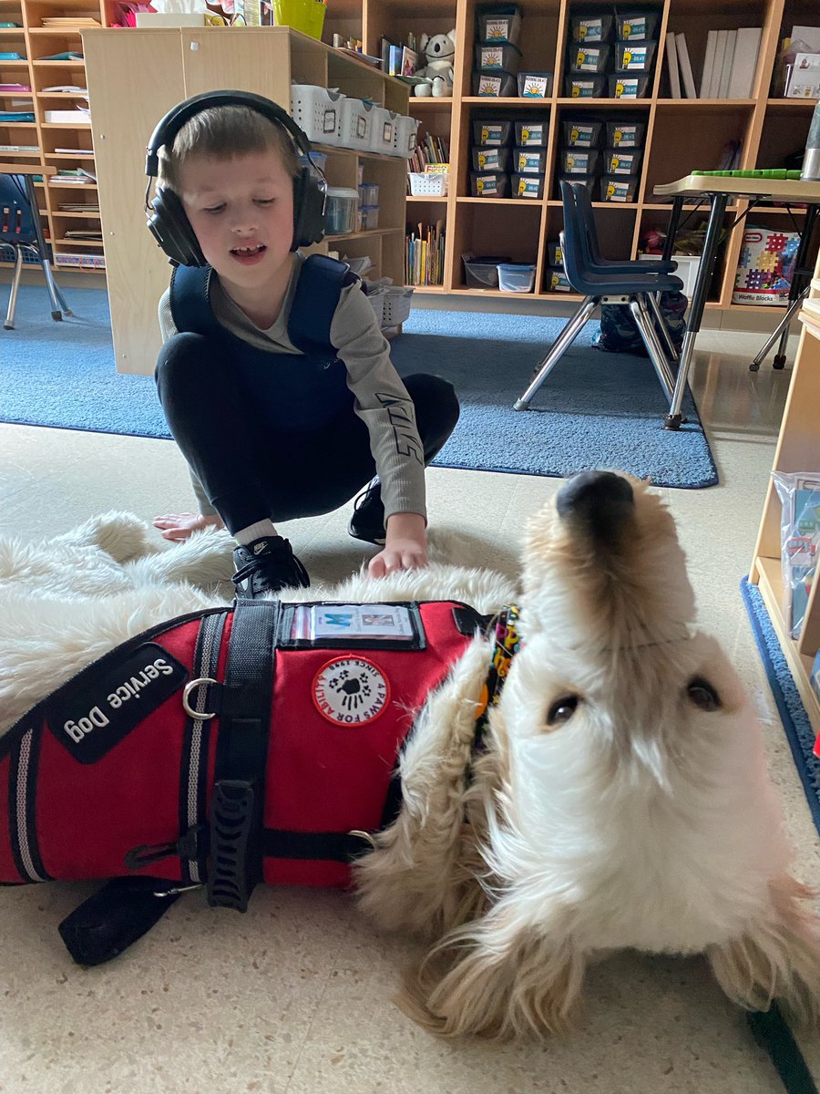 MECC_Counselor2's tweet photo. This “gentle giant” made his debut in 2nd grade this week! Meet Gibson, our newest furry friend at MECC! We had lots of fun getting to know each other this week! 💚⭐️🐾#GibsonSparkles #MECC #dogsofMason #MVP #MostValuablePups @MrsBly_MECC @MasonSchools @schatzj9 https://t.co/NsP4AVT9i4