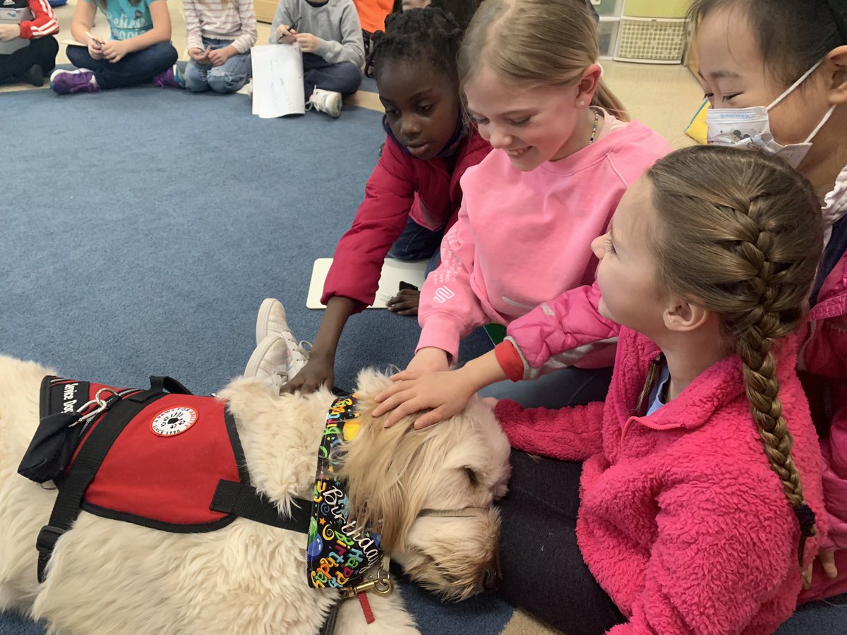 MECC_Counselor2's tweet photo. This “gentle giant” made his debut in 2nd grade this week! Meet Gibson, our newest furry friend at MECC! We had lots of fun getting to know each other this week! 💚⭐️🐾#GibsonSparkles #MECC #dogsofMason #MVP #MostValuablePups @MrsBly_MECC @MasonSchools @schatzj9 https://t.co/NsP4AVT9i4