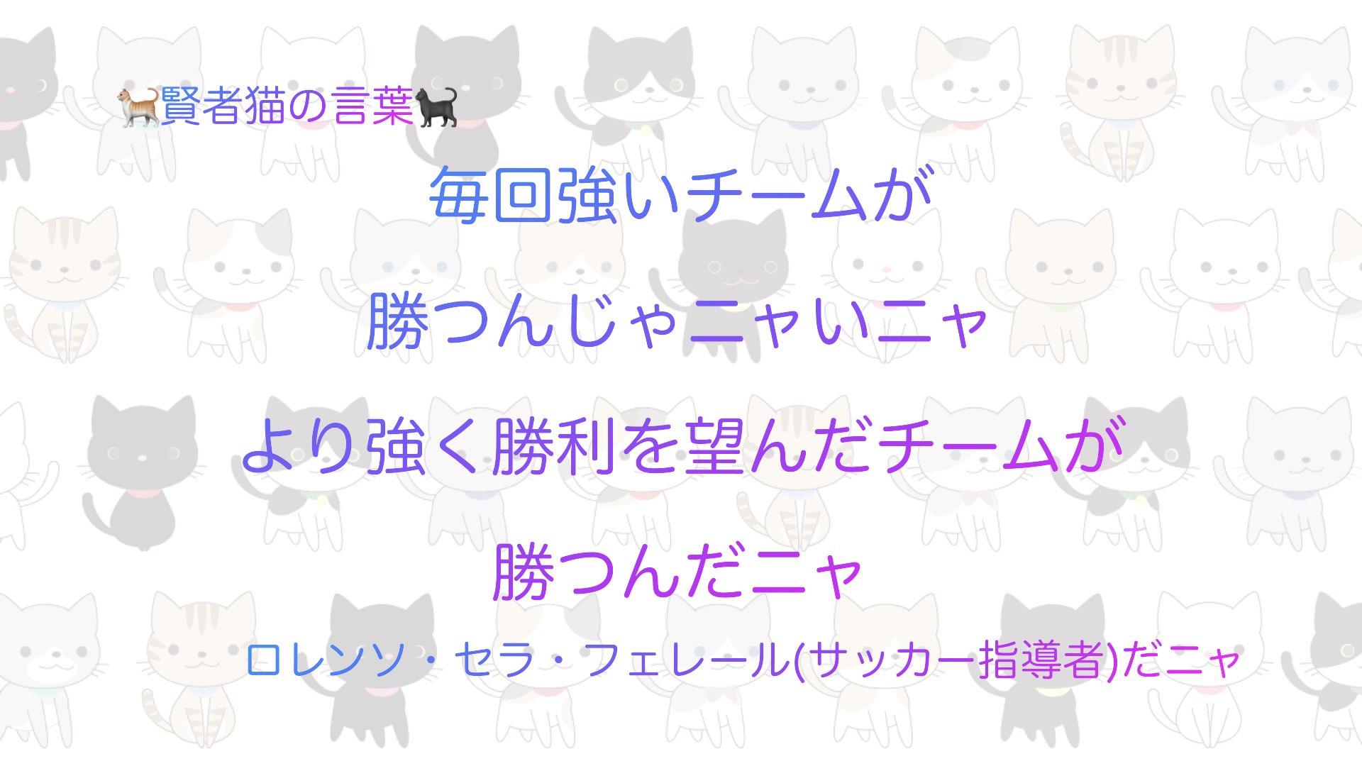 猫 賢者猫の言葉 名言 Philosophers Ca Twitter