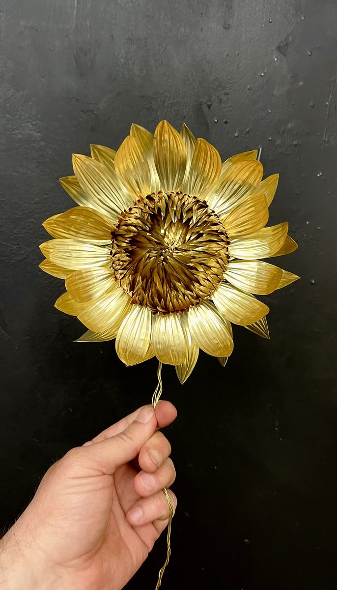 kirk_maxson's tweet photo. The sunflower is the national flower of Ukraine, and since the invasion of Ukraine by Russia it’s become a symbol of resistance unity and peace https://t.co/Y64FREX3B4