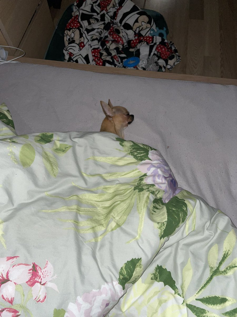 Spisek2's tweet photo. Gn https://t.co/UKvqH8ZyxH