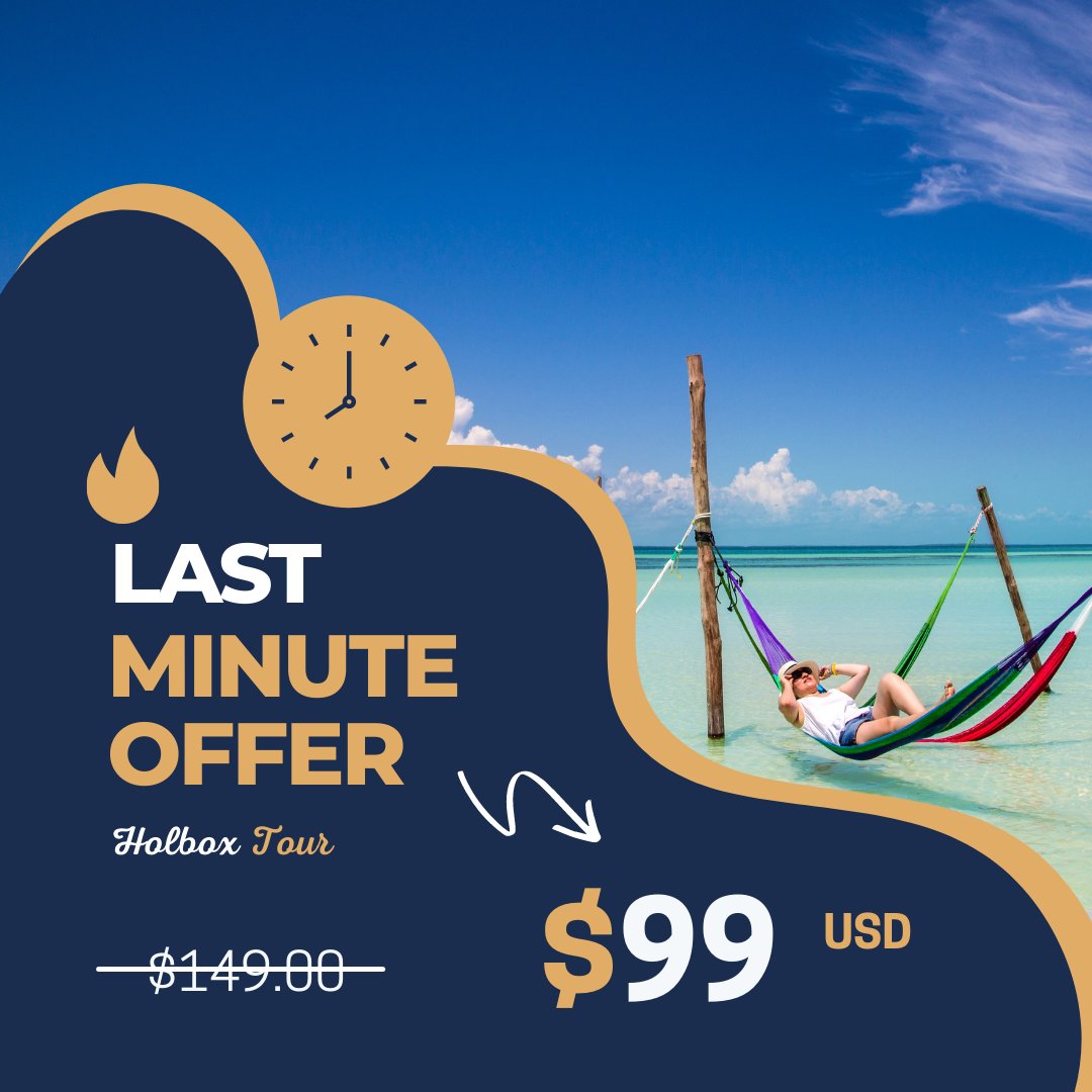 yalkutours's tweet photo. BIG SALE!

HOLBOX TOUR. 

CONTACT US! https://t.co/cEM061ngFf