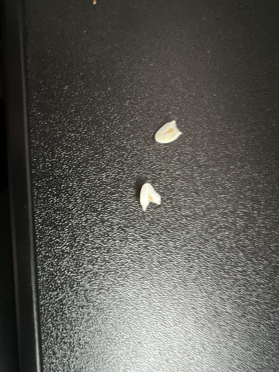 JenniSyed's tweet photo. Split perfectly in half. If it had just dried out, would not have expected the force… https://t.co/KX3nfg8jOk