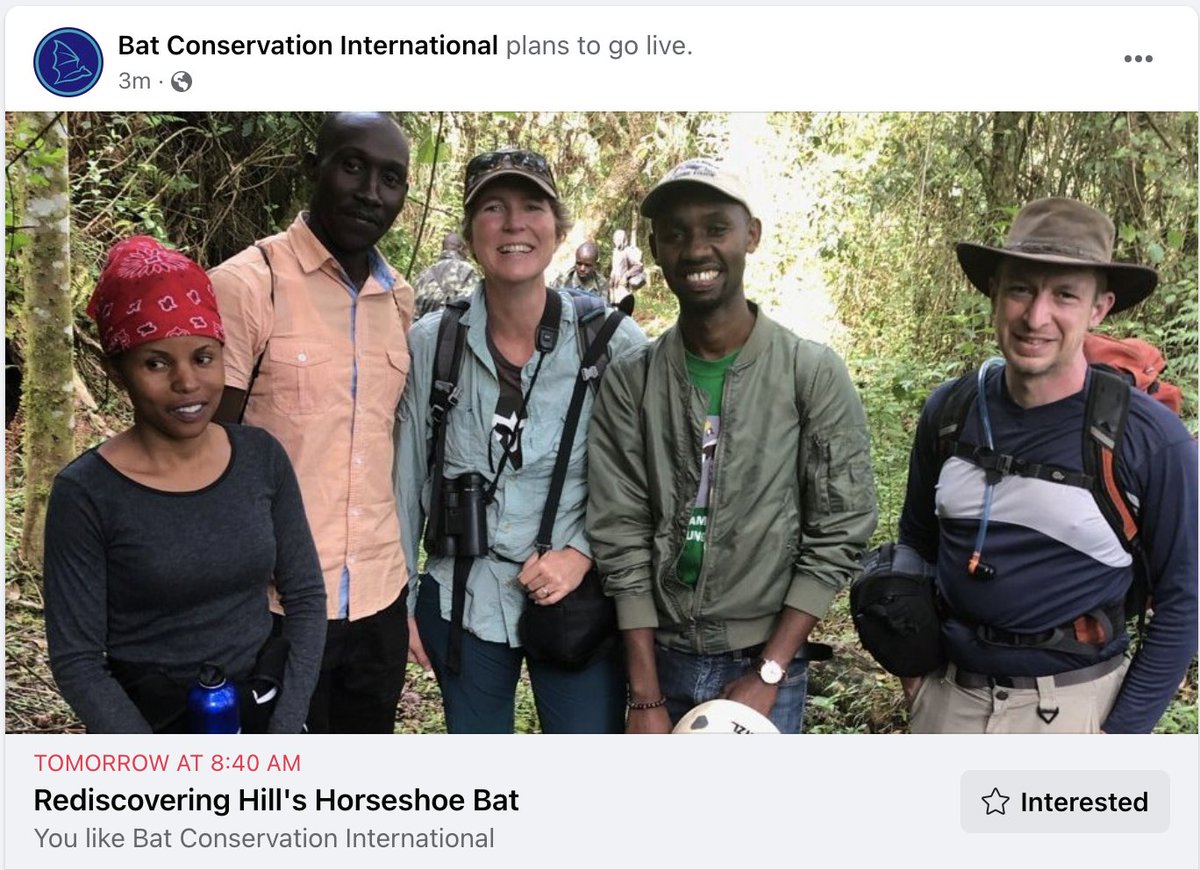 BatConIntl's tweet image. Join us tmrw (Friday) @ 11:40am EST; 8:40am PST for a Facebook Live with @FrickWinifred &amp;amp; @jonrflanders as they talk about how they found the lost Hill&apos;s horseshoe bat. 
RSVP --&amp;gt; facebook.com/events/1295565…