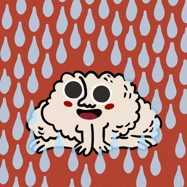 THE MODFIA tweet media