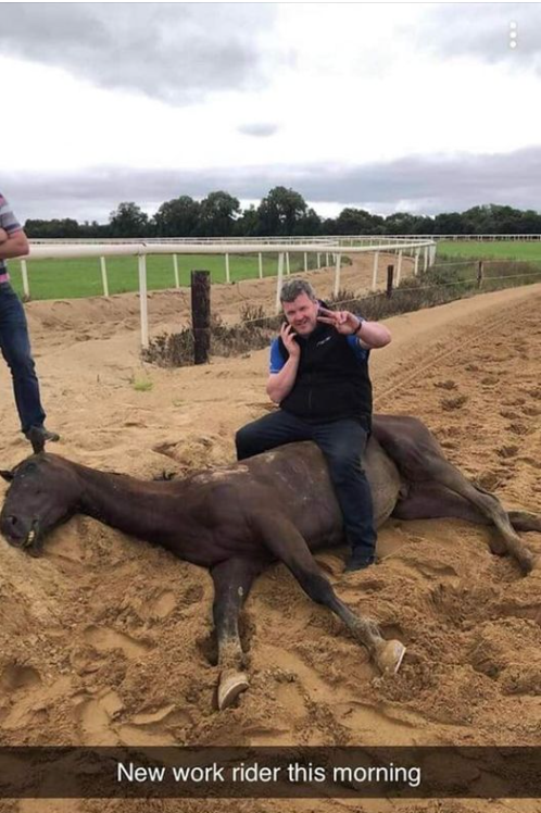 AnimalPartyIE's tweet photo. One week until the deadly Cheltenham Killing Festival.
GORDON ELLIOT IS A DISGRACE AS IS ANYINE ELSE INVOLVED IN THIS BLOODSPORT IN ANY CAPACITY.
#cheltenham #cheltenhamfestival #BanHorseRacing #share #gordonelliot #animals
@banbloodsports @watch_welfare https://t.co/LvNO4P9sVt