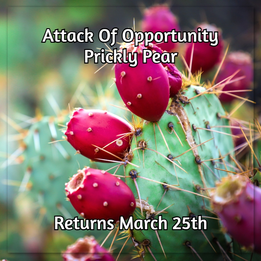 SnFMeadery's tweet photo. That Prickly Pear flavor is coming back March 25th!
.
.
.
.
#scaleandfeathermead #scaleandfeather #mead #pricklypear https://t.co/jyE2TMAvxL