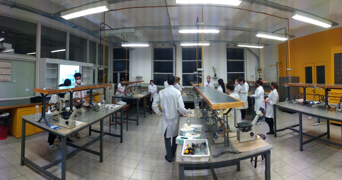 Segunda y última parte del trabajo practico de viro. <a href="/IBaViM_UBA/">IBaViM</a>