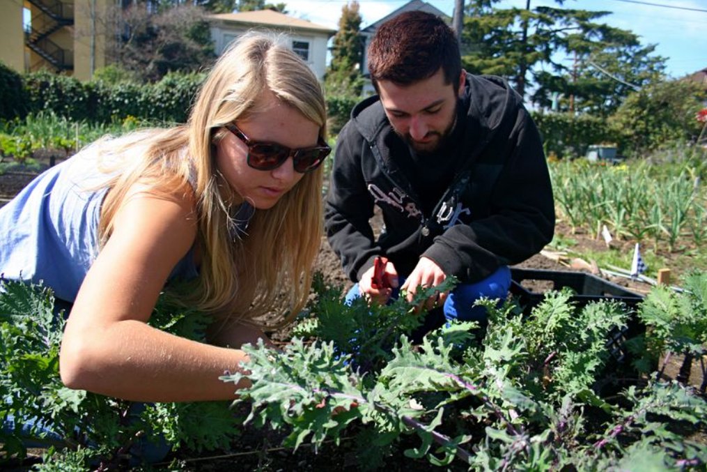 UC Berkeley SERC🌱 tweet media