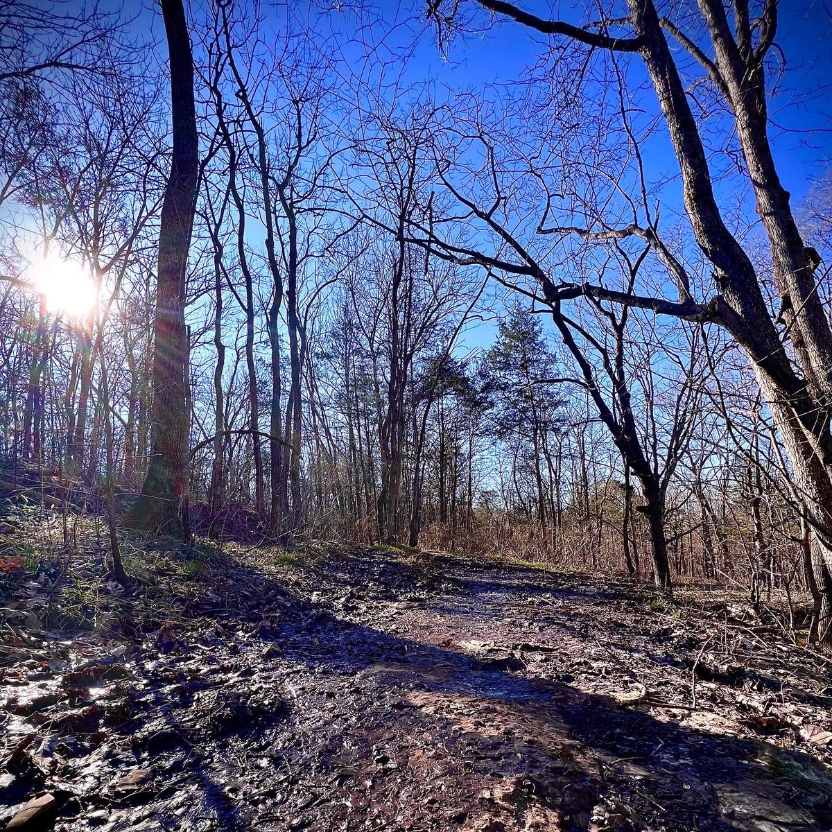 mac_cheeves's tweet image. in da wind 🏃🏻🤙🏻

🎶 @305MAYOR #letsgo

#OGsknow #LFG #2002 👀

@TristarAdventur 
@yeti_runners @dirtbagrunners #tristaradventures #lasthorserunner #seenonmyrun #trailrunning #runtn #leavenotrace #yetirunners #hillbillyviking