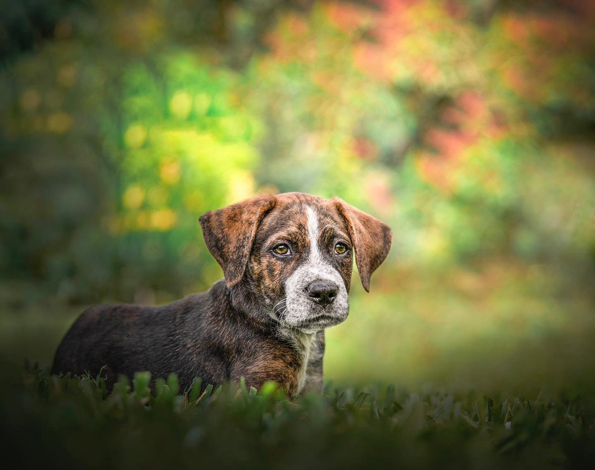 Courtraits tweet media