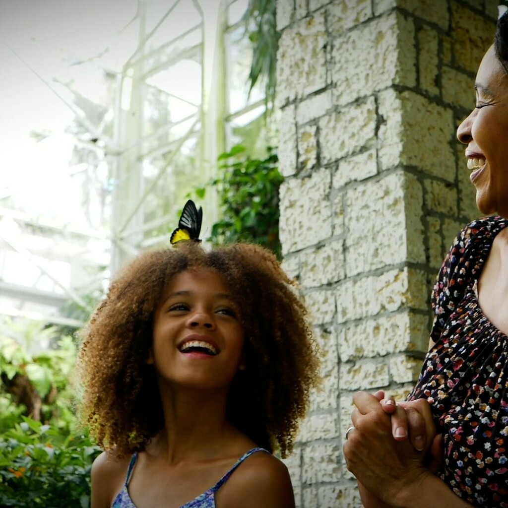 seasonedstudio's tweet photo. Spring is just around the corner, and we can't wait! Swing by the Fairchild Tropical Botanic Garden in Miami to see some fluttery friends :)

#weareseeasoned #femalefilmcrew #seasoned4u
#miami #setlife #travelfilmmaker https://t.co/SUatFZzB82 https://t.co/aYzGYF4HvL